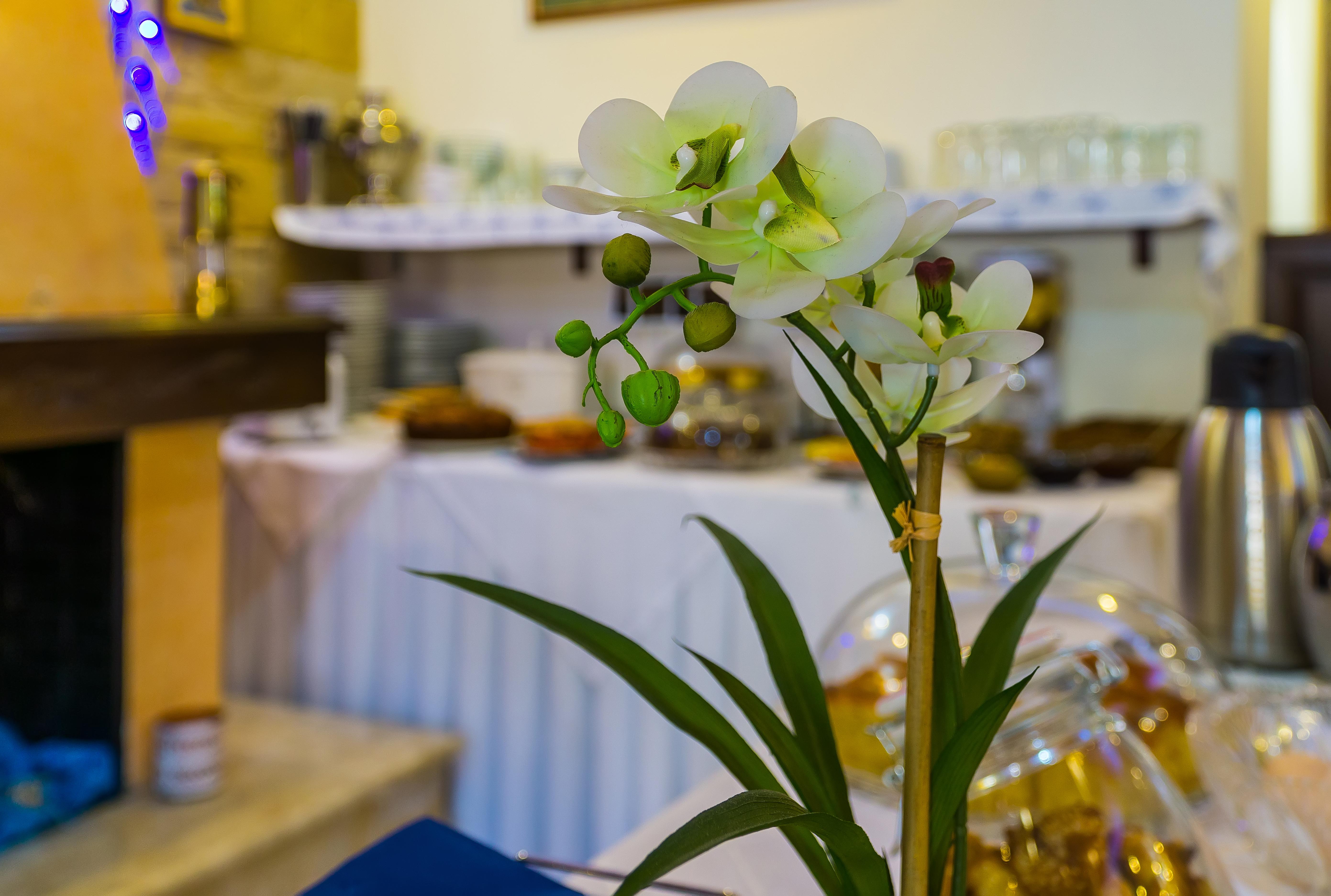 "Epavlis Boutique Galaxidi" Hotel Екстериор снимка